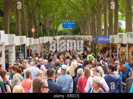 Crowds at the 2015 Chelsea flower show. Stock Photo
