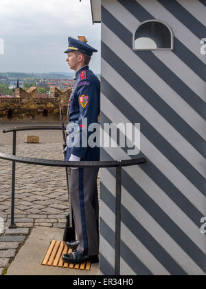 PRAGUE, CZECH REPUBLIC - MAY 02, 2015: The guard of honor at the presidential Palace in Prague castle Stock Photo