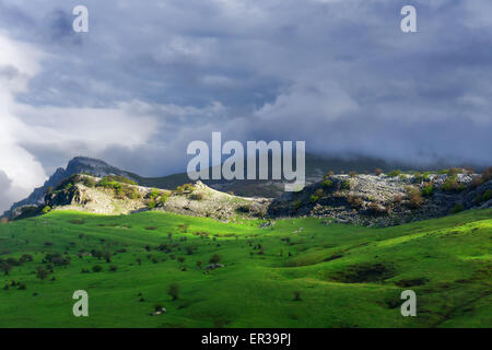 Arraba fields in Gorbea Natural Park. Basque Country Stock Photo