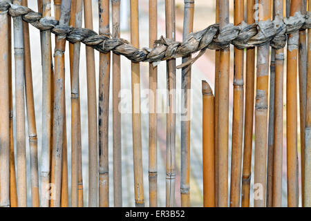 Bamboo fence and a strong rope made of completely natural materials Stock Photo