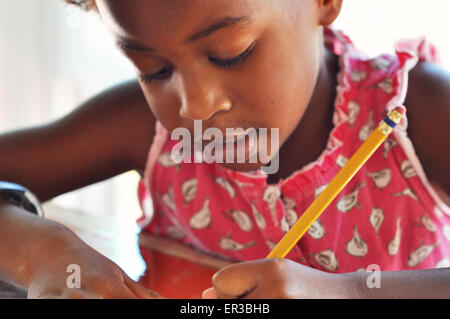African American Girl studying Stock Photo