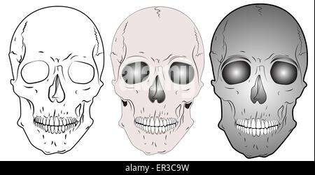 various skulls - vector Stock Vector