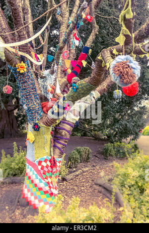 Yarn bombed tree Stock Photo
