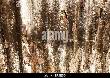painted outer skin of corrugated metal sheet beginning to fail and rust with interesting patterns from diesel fumes Stock Photo