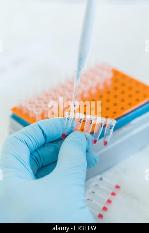 Technician using a PCR (polymerase chain reaction) machine to amplify ...