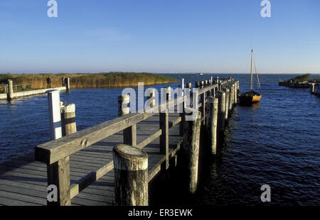 DEU, Germany, Mecklenburg-Western Pomerania, Ahrenshoop at the Baltic Sea, port Althagen at the Saaler Bodden.  DEU, Deutschland Stock Photo