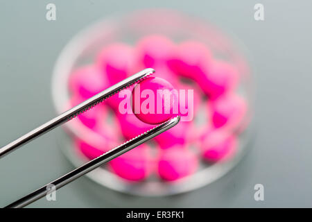 Drugs in petri dishes awaiting anaylsis, pharmaceutical research. Stock Photo