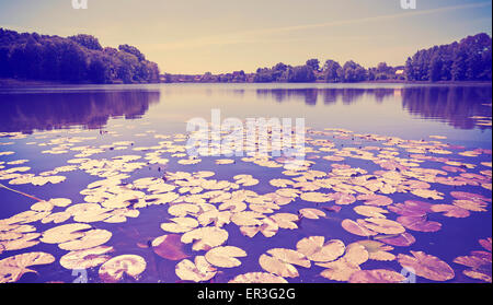 Vintage toned panoramic lake view with water lilies. Stock Photo
