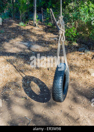 A tire swing is held in place hanging from a tree by a large rope. Stock Photo