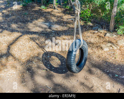 A tire swing is held in place hanging from a tree by a large rope. Stock Photo
