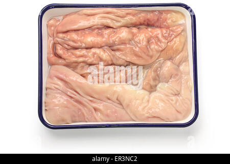 abomasum, rennet bag, reed tripe, the fourth stomach of a cow in butcher tray isolated on white background Stock Photo