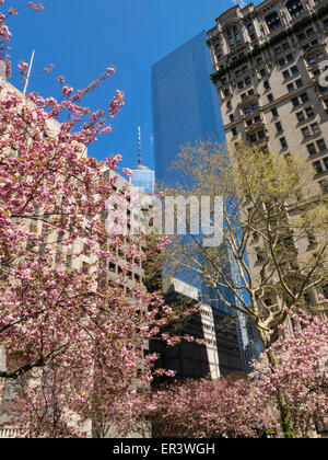 Springtime View Upwards from Trinity Church Cemetery, NYC Stock Photo