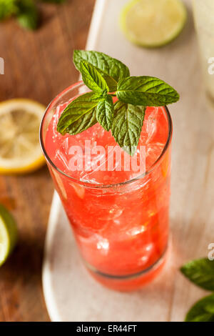 Organic Fresh Italian Soda with Green Mint Stock Photo