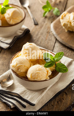 Homemade Organic Vanilla Ice Cream with Mint Stock Photo