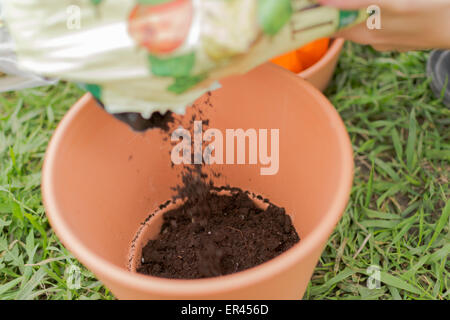 https://l450v.alamy.com/450v/er456d/gardener-puts-compost-in-a-ceramic-plant-pot-er456d.jpg