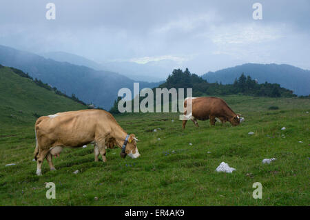 Velika planina (big pasture) near Kamnik is largest mountain pasture in Slovenia. Stock Photo