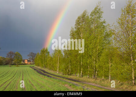 Rainbow over spring field Stock Photo
