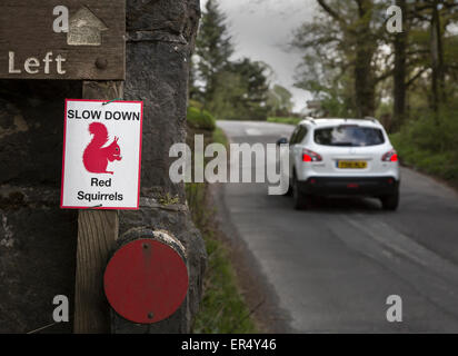 Beware Red Squirrels Road Sign Stock Photo