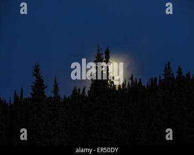 A misty moonrise in British Columbia. Earth's only natural satellite showing the near side marked by dark volcanic maria and imp Stock Photo