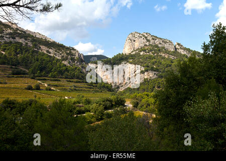 Terraced vineyards in the Vaucluse district of southern France. Stock Photo
