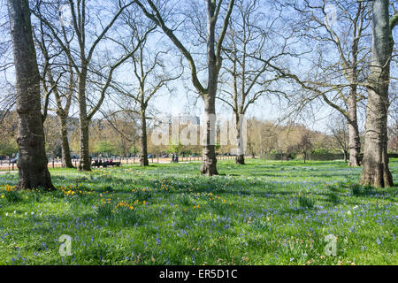 Hyde Park in spring, City of Westminster, London, Greater London, England, United Kingdom Stock Photo