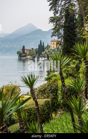 Villa Monastero gardens, Varenna, Lake Como, Lago di Como, Province of Lecco, Lombardy, Italy Stock Photo