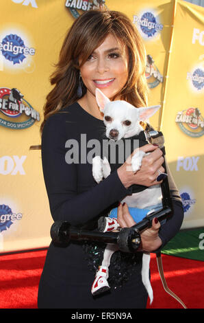 FOX’s Cause For Paws: An All-Star Dog Spectacular held at Barker Hangar at the Santa Monica Airport  Featuring: Paula Abdul Where: Los Angeles, California, United States When: 22 Nov 2014 Credit: Adriana M. Barraza/WENN.com Stock Photo
