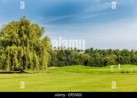 2 women golfers on the putting green, golf course Green Eagle, Radbruch, Winsen Luhe, Niedersachsen, North Germany, Germany Stock Photo
