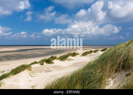 Dunes on the beach, Langeoog Island, North Sea, East Frisian Islands, National Park, Unesco World Heritage Site, East Frisia, Lo Stock Photo