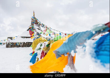 Tibetan flag on the snow Stock Photo