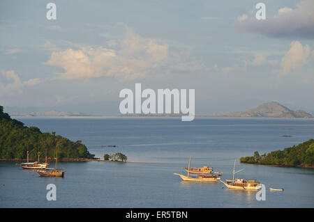 Early morning view above the harbour towards Komodo National Park, Labuhanbajo, West Flores, Nusa Tenggara, Lesser Sunda Islands Stock Photo