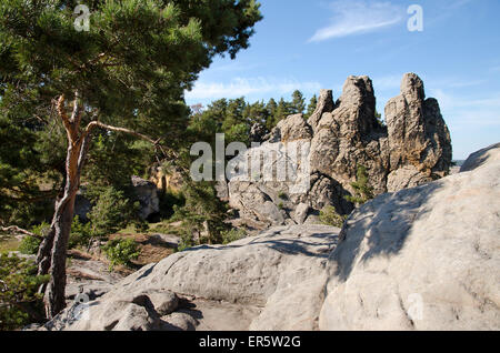 Rock formation, Teufelsmauer, Timmenrode, Harz, Saxony-Anhalt, Germany, Europe Stock Photo