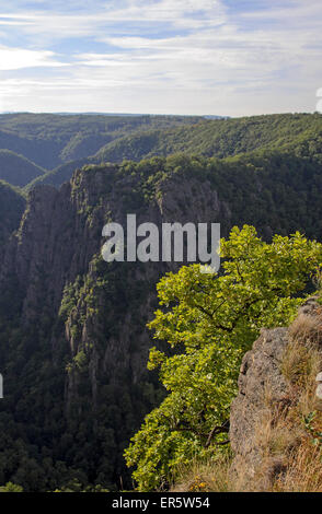 View from Hexentanzplatz to the Bode gorge, Thale, Harz, Saxony-Anhalt, Germany, Europe Stock Photo