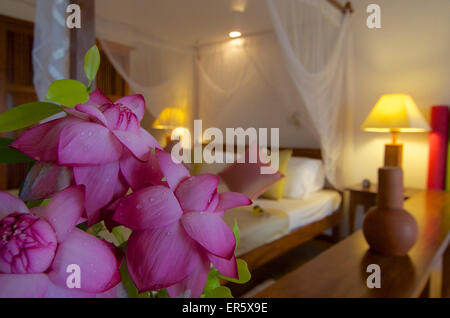 Tropical flowers in a delux room at the Berberyn Ayurveda Beach Resort, Weligama, Mirissa, in the South of Sri Lanka