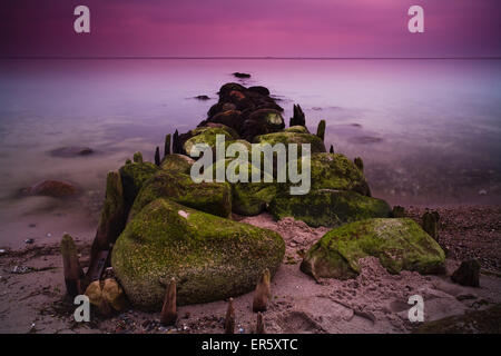 Groynes and moss covered stones in the morning light, Buelk, Strande, Kiel Fjord, Schleswig-Holstein, Germany Stock Photo