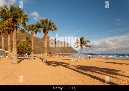 Beach with palm trees, Playa de las Teresitas, near San Andres, Las Montanas de Anaga, natural preserve, Parque Rural de Anaga, Stock Photo