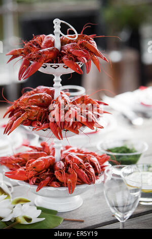 Having a summer party with lots of crayfish Stock Photo