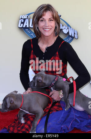 FOX’s Cause For Paws: An All-Star Dog Spectacular held at Barker Hangar at the Santa Monica Airport - Arrivals  Featuring: Wendie Malick Where: Los Angeles, California, United States When: 22 Nov 2014 Credit: Adriana M. Barraza/WENN.com Stock Photo