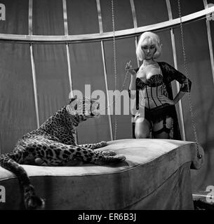 Jacqueline Jones, 22, in her first big start part shares her bedroom with a Leopard. The scene is part of the film 'The Cool Mikado' now being made at Shepperton Studios. The Leopard names 'Chiefy' is 7 and a half years old and is quite the veteran film s Stock Photo
