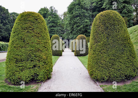 Garden of an Belgian public park with a walkway between topiary hedges Stock Photo
