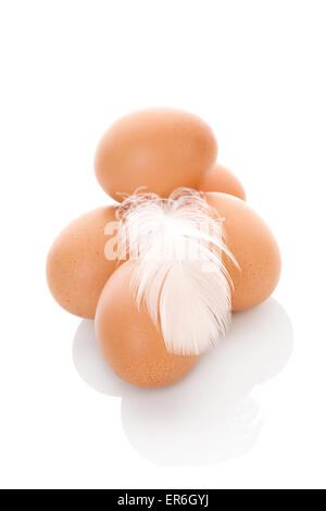 Brown eggs with feather isolated on white background. Fresh modern image language. Culinary arts. Stock Photo