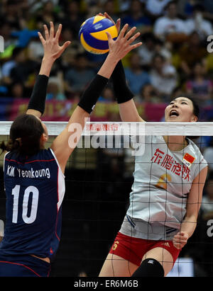 Tianjin, China. 28th May, 2015. Yang Junjing of China spikes the ball during the final match against South Korea at the 18th Asian Senior Women's Volleyball Championships in Tianjin, north China, May 28, 2015. China won 3-0 to claim the title. © Zhang Chenlin/Xinhua/Alamy Live News Stock Photo