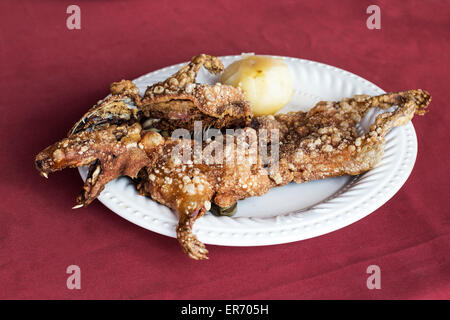 Grilled guinea pig (cuy) dish in the peruvian Andes at Arequipa, Peru. Stock Photo