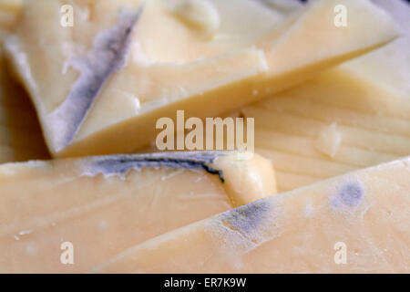 blue mould growing on cheese Stock Photo