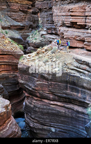 Hikers walk along Deer Creek Narrows in the Grand Canyon outside of Fredonia, Arizona November 2011. Stock Photo