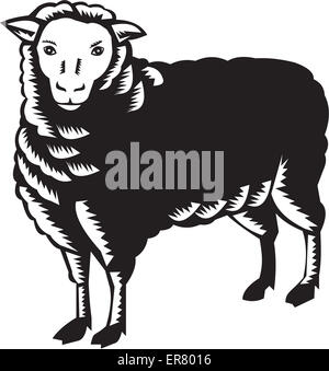 Illustration of a sheep lamb viewed from side set on isolated white background done in retro woodcut style. Stock Photo