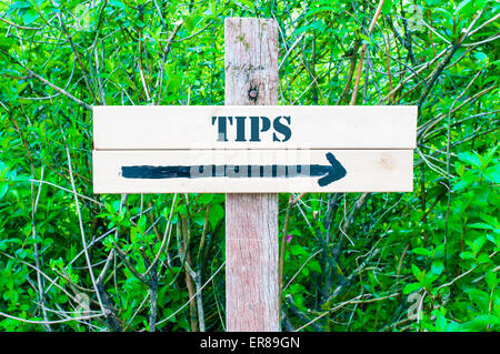 TIPS written on Directional wooden sign with arrow pointing to the right against green leaves background. Concept image with available copy space Stock Photo