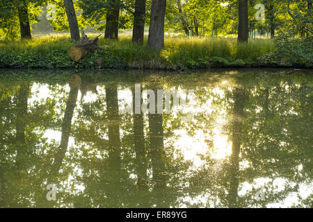 Wasserspiegelung, Landschaftsgarten, UNESCO Weltkulturerbe, Lednice, Kreis Breclav, Südmähren, Tschechien Stock Photo