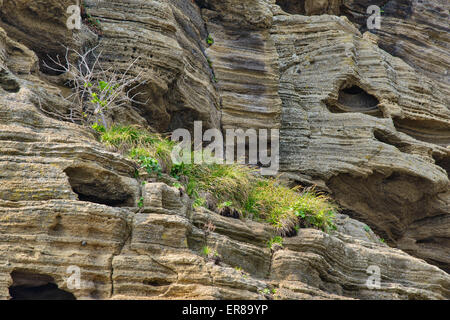Multistory layered rough and strange sedimentary rocks in famous tourist site Yongmeori Coast(Dragon head coast) in Jeju Island. Stock Photo