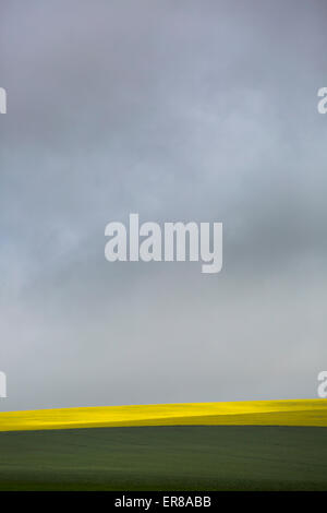 Agricultural field against cloudy sky Stock Photo